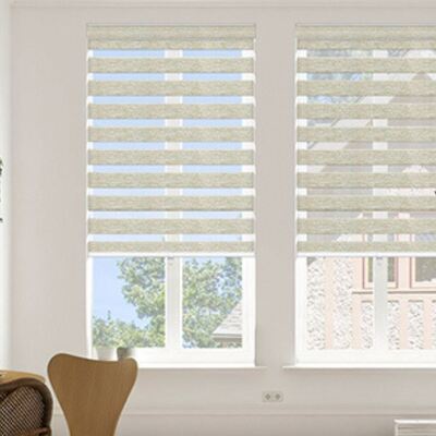 Good price Modern Minimalist Smart Zebra Blinds Motorized Polyester Window Shade For Living Room online